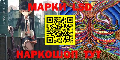 винт Кандалакша